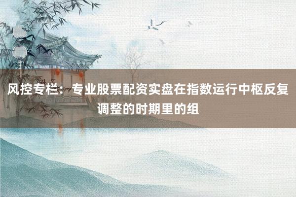 风控专栏：专业股票配资实盘在指数运行中枢反复调整的时期里的组
