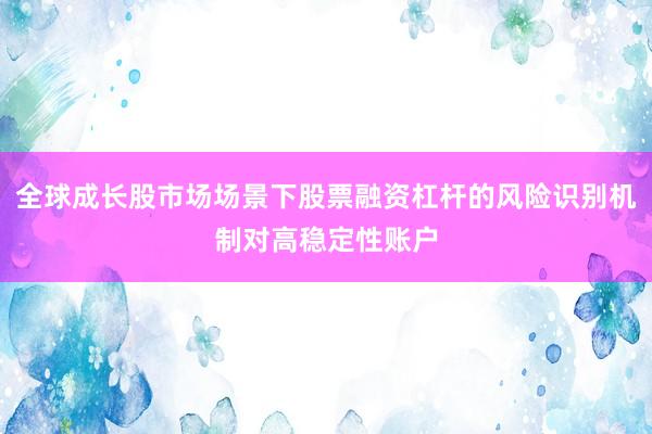 全球成长股市场场景下股票融资杠杆的风险识别机制对高稳定性账户