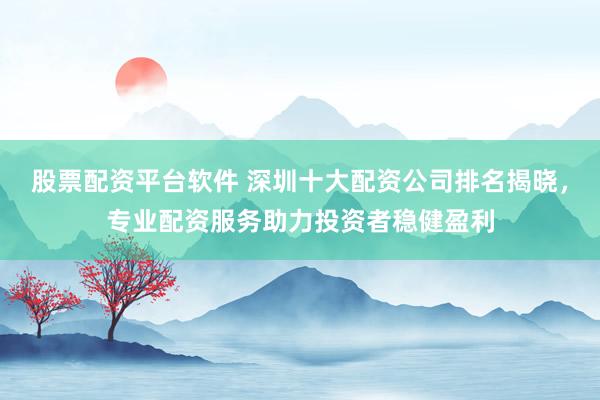 股票配资平台软件 深圳十大配资公司排名揭晓，专业配资服务助力投资者稳健盈利