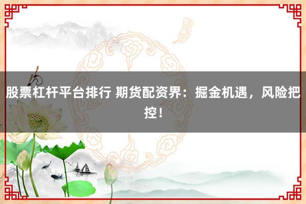 股票杠杆平台排行 期货配资界：掘金机遇，风险把控！