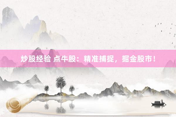 炒股经验 点牛股：精准捕捉，掘金股市！