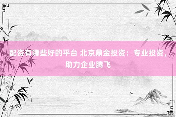 配资有哪些好的平台 北京鼎金投资：专业投资，助力企业腾飞
