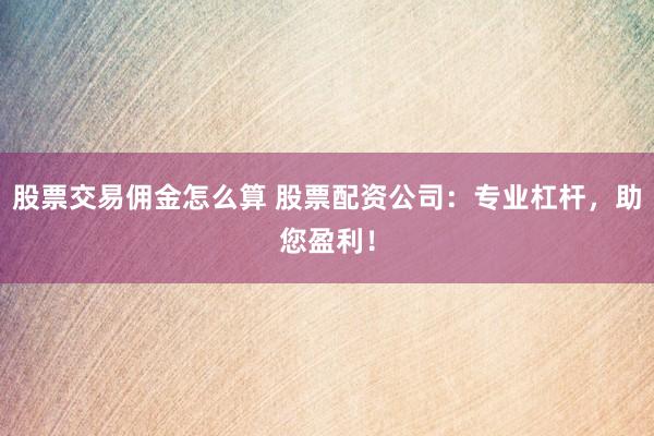 股票交易佣金怎么算 股票配资公司：专业杠杆，助您盈利！